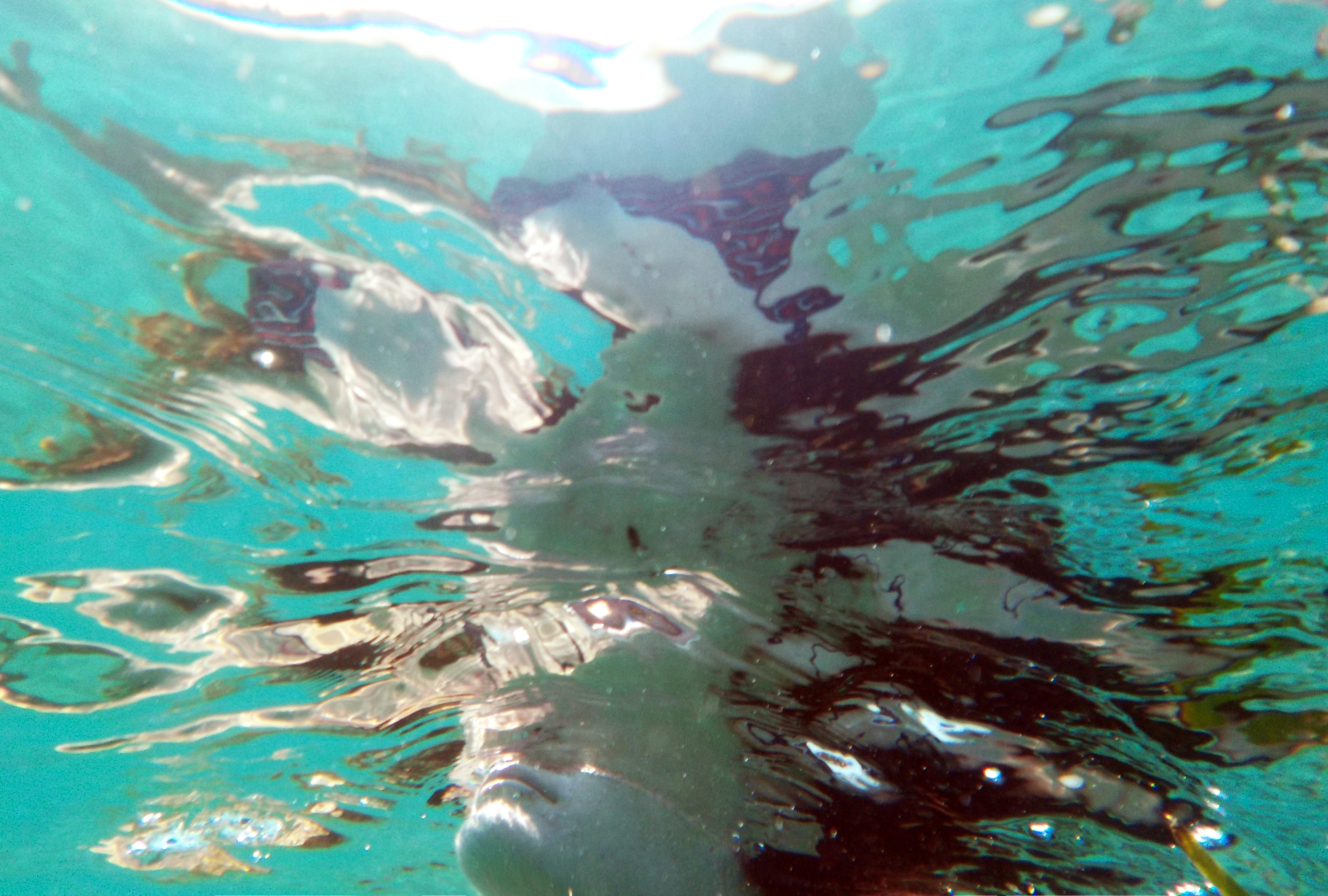 Underwater | VI