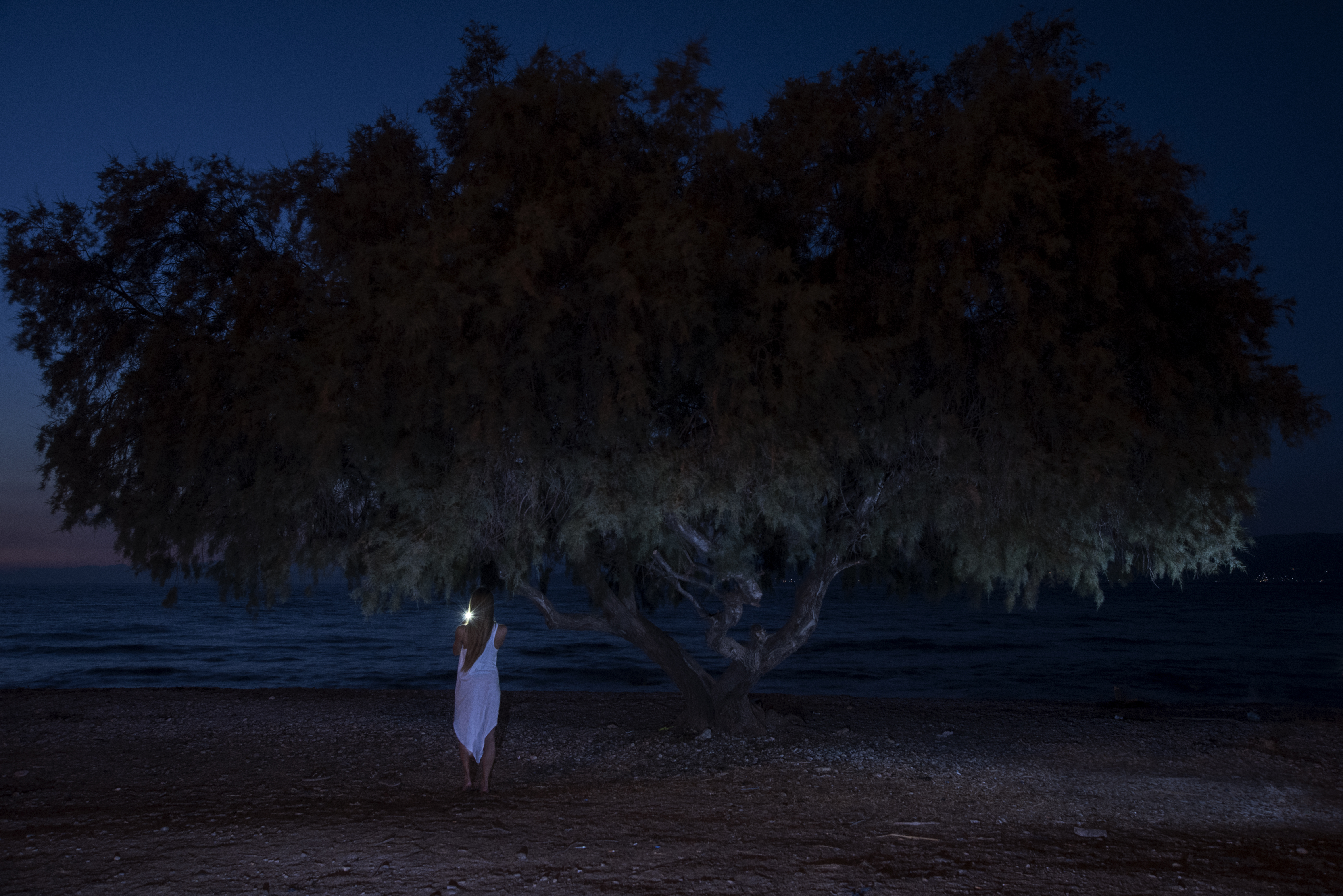 Night Scene 2015