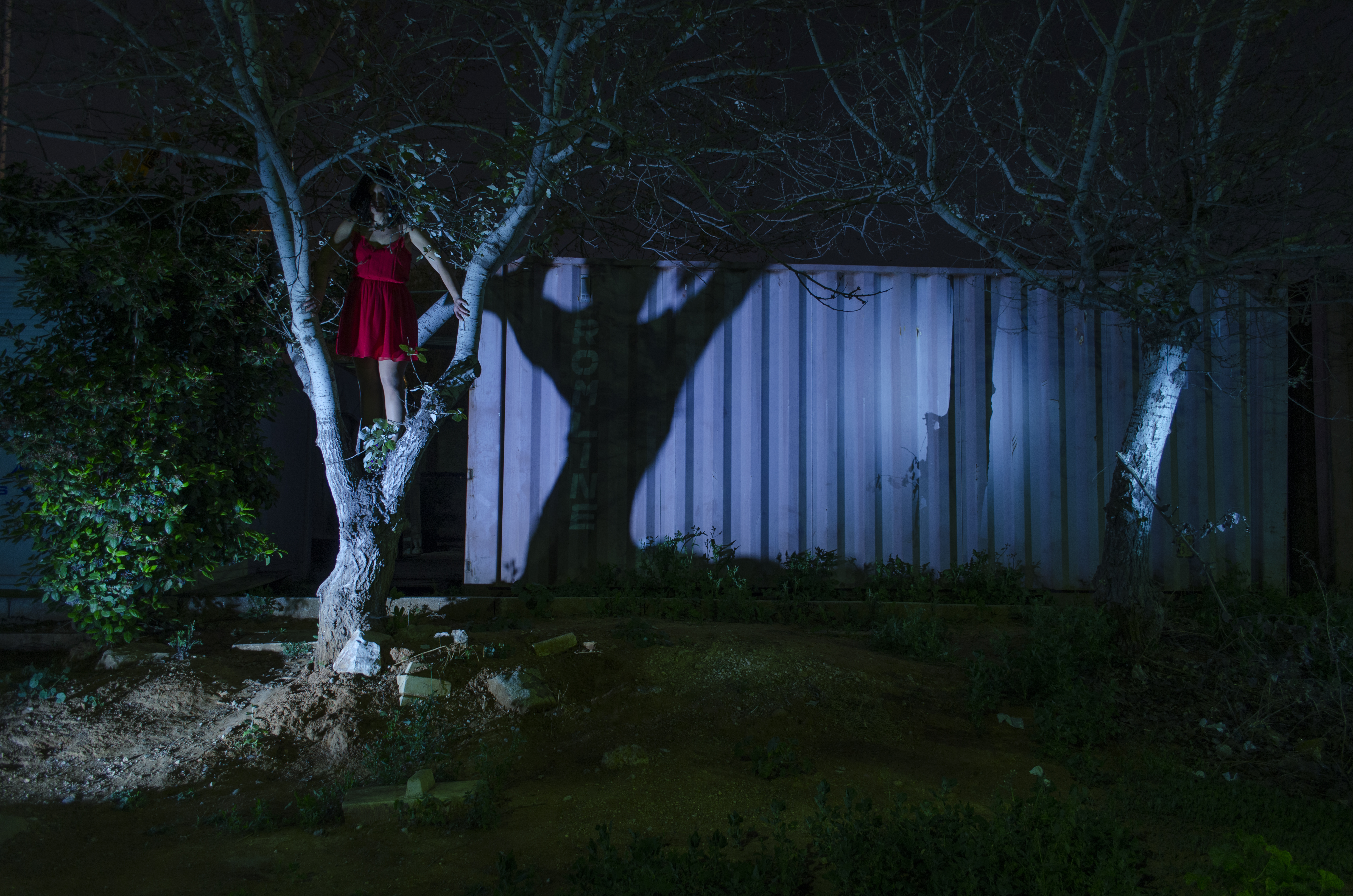 Night Scene 2015 | V
