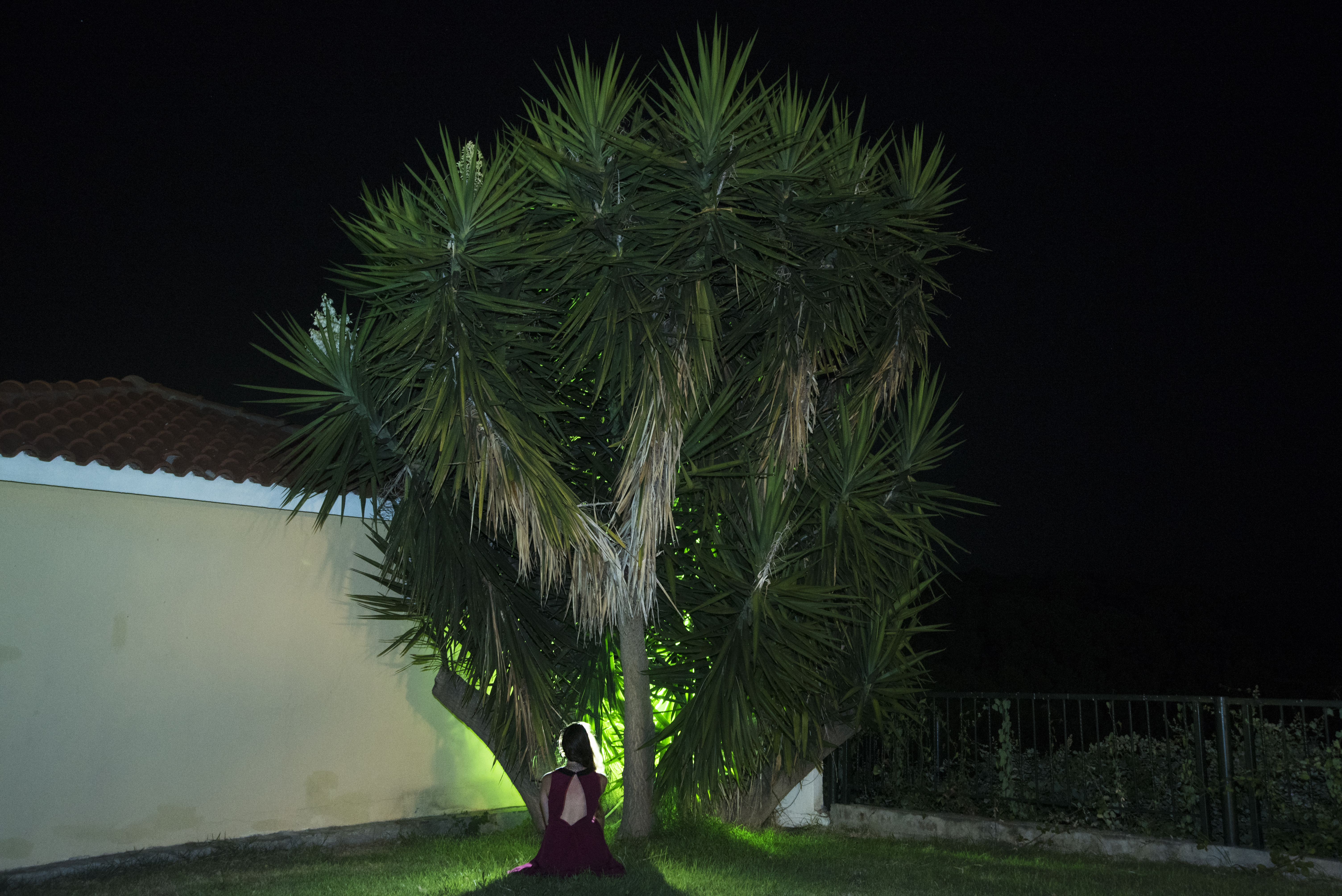 Night Scene 2015 | XVI