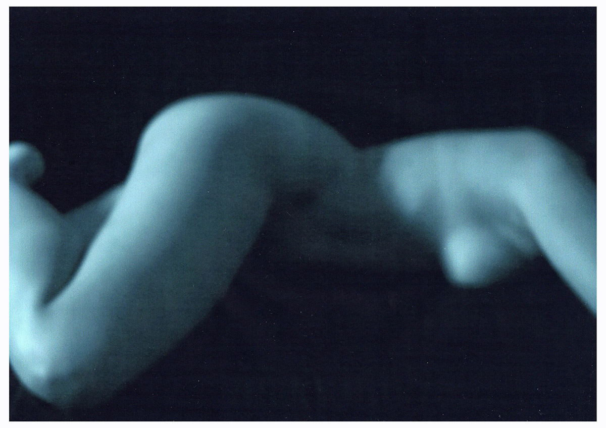Body Identity 2013 | III