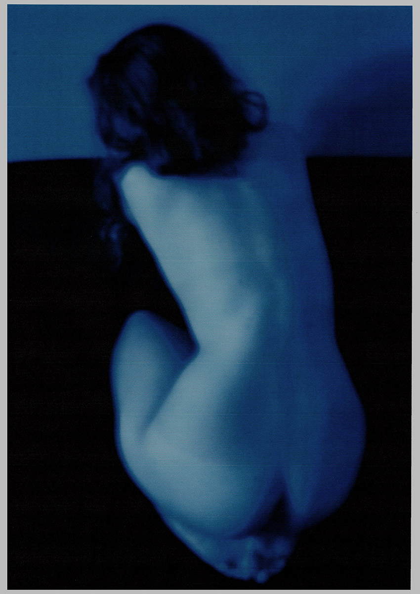 Body Identity 2013 | VI