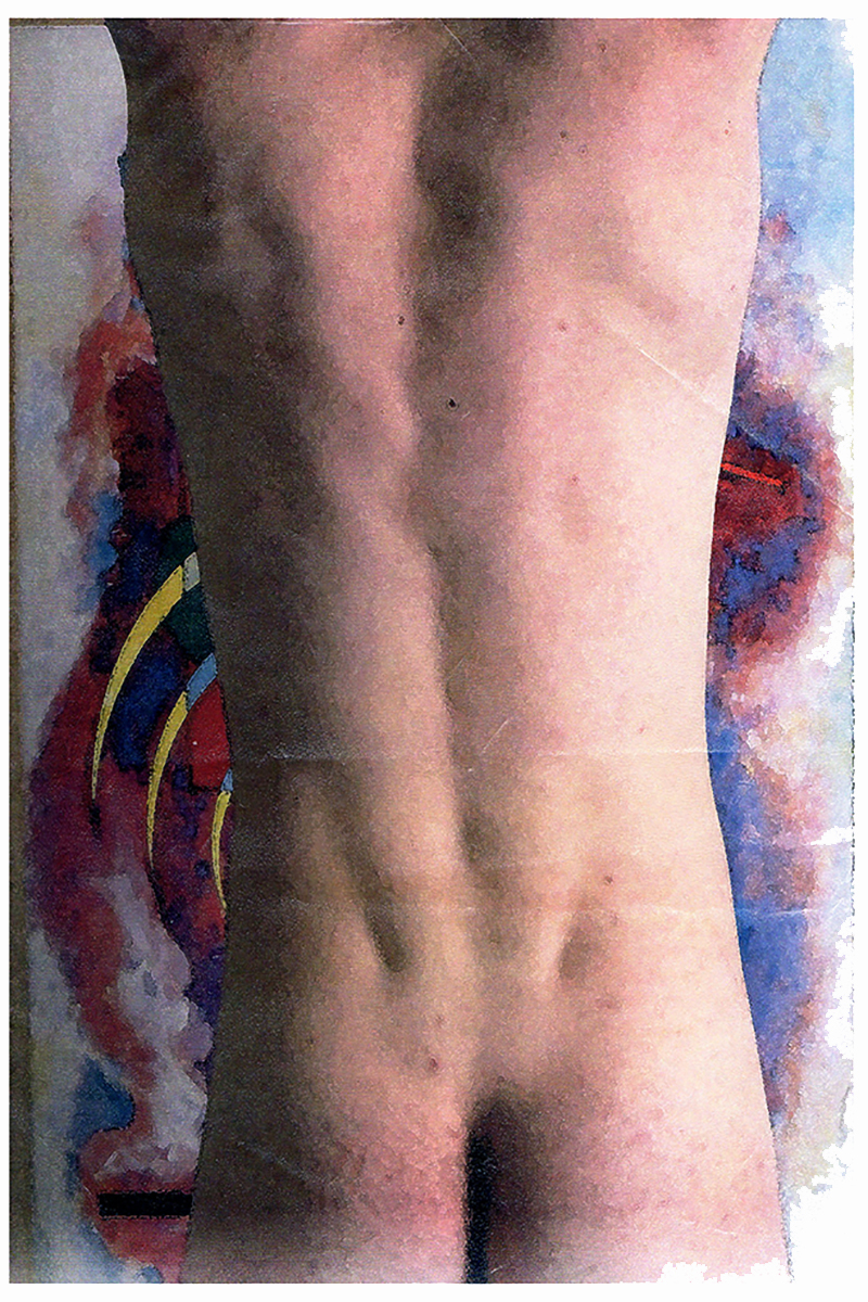 Body Identity 2013 | XIII