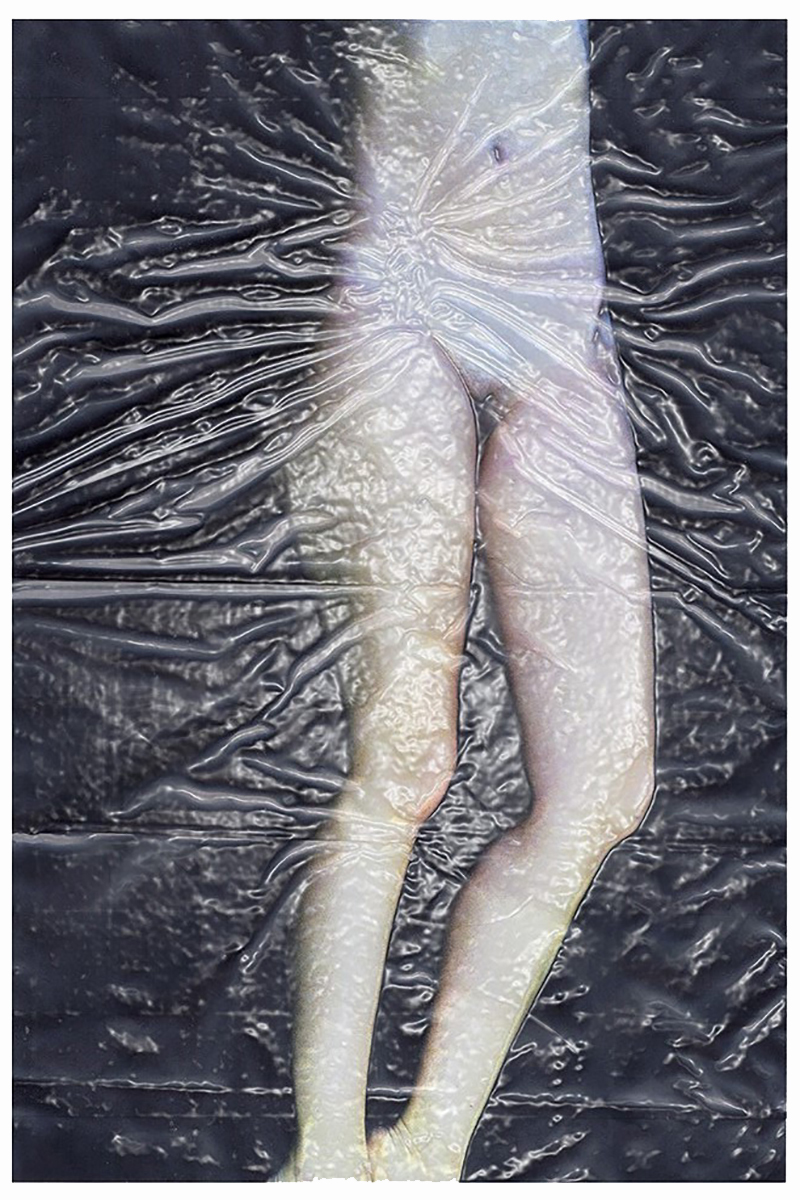 Body Identity 2013 | XIV