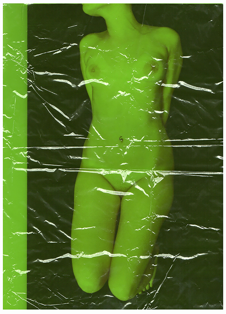 Body Identity 2013 | XVI