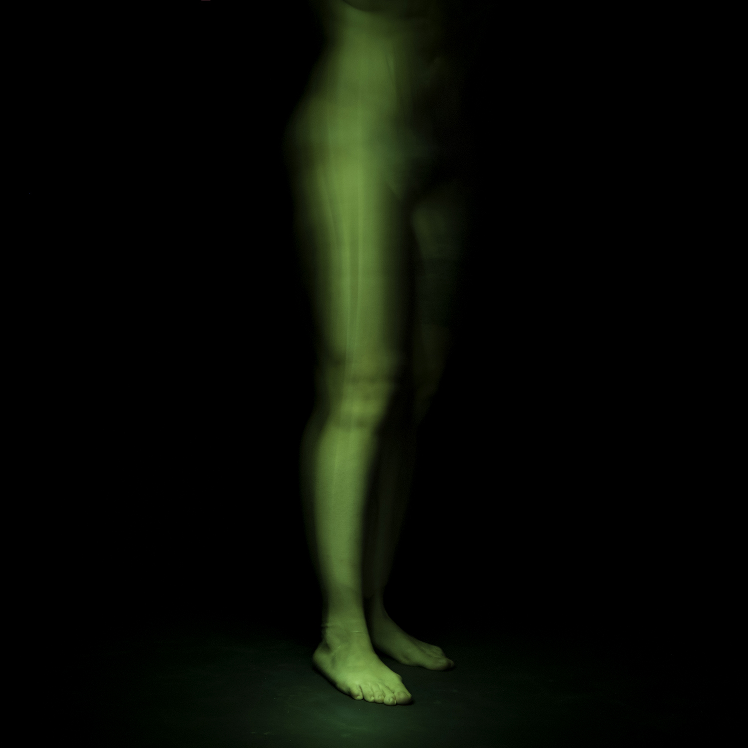 Light Box 2014