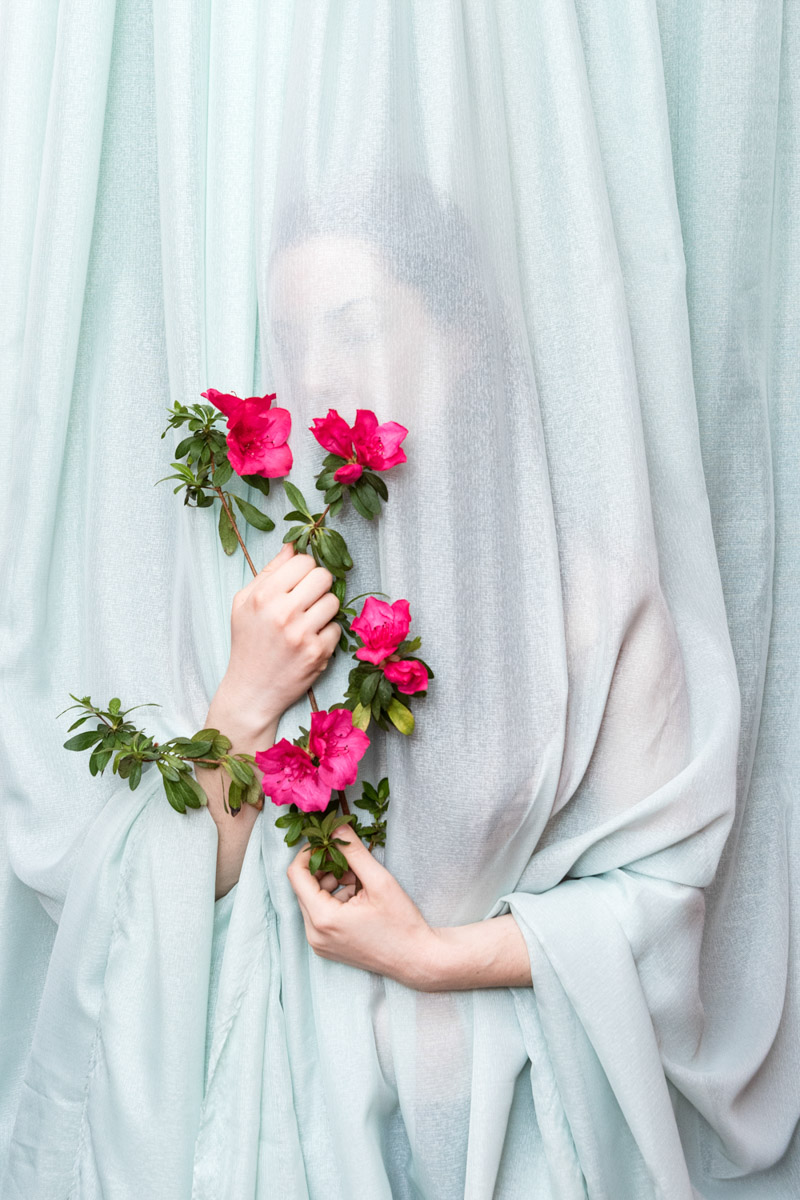No Spring, No Flower, No Nothing