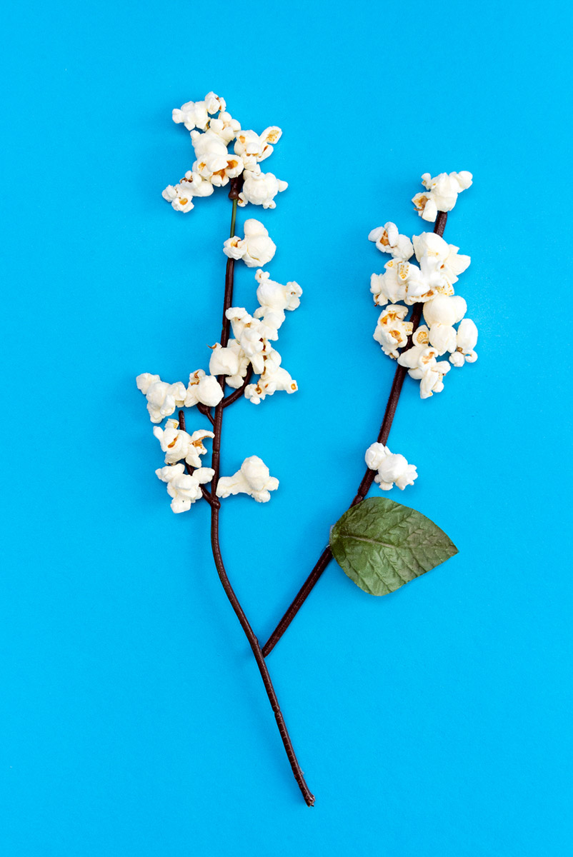 Corn Blossom