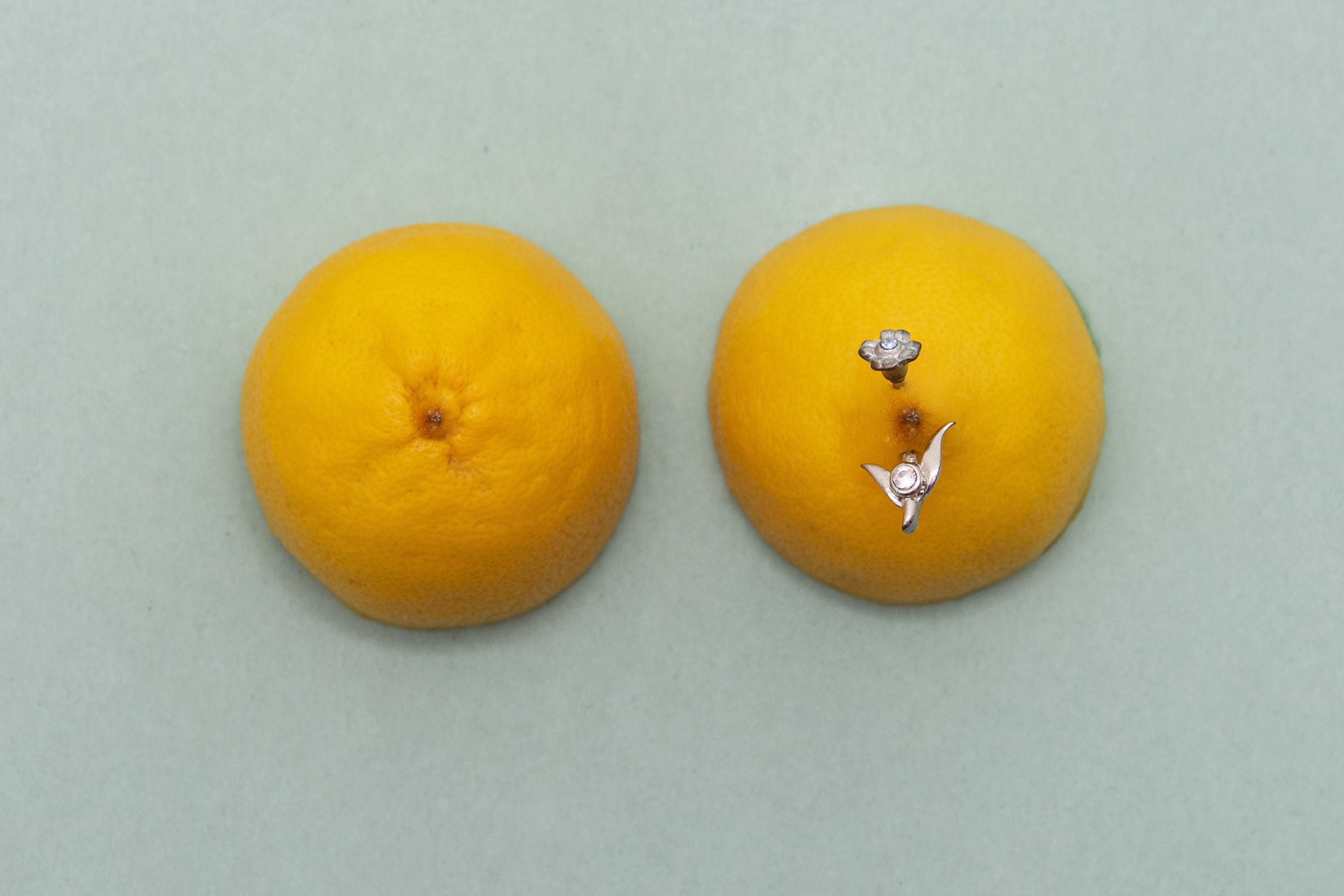 Still Life | XXV
