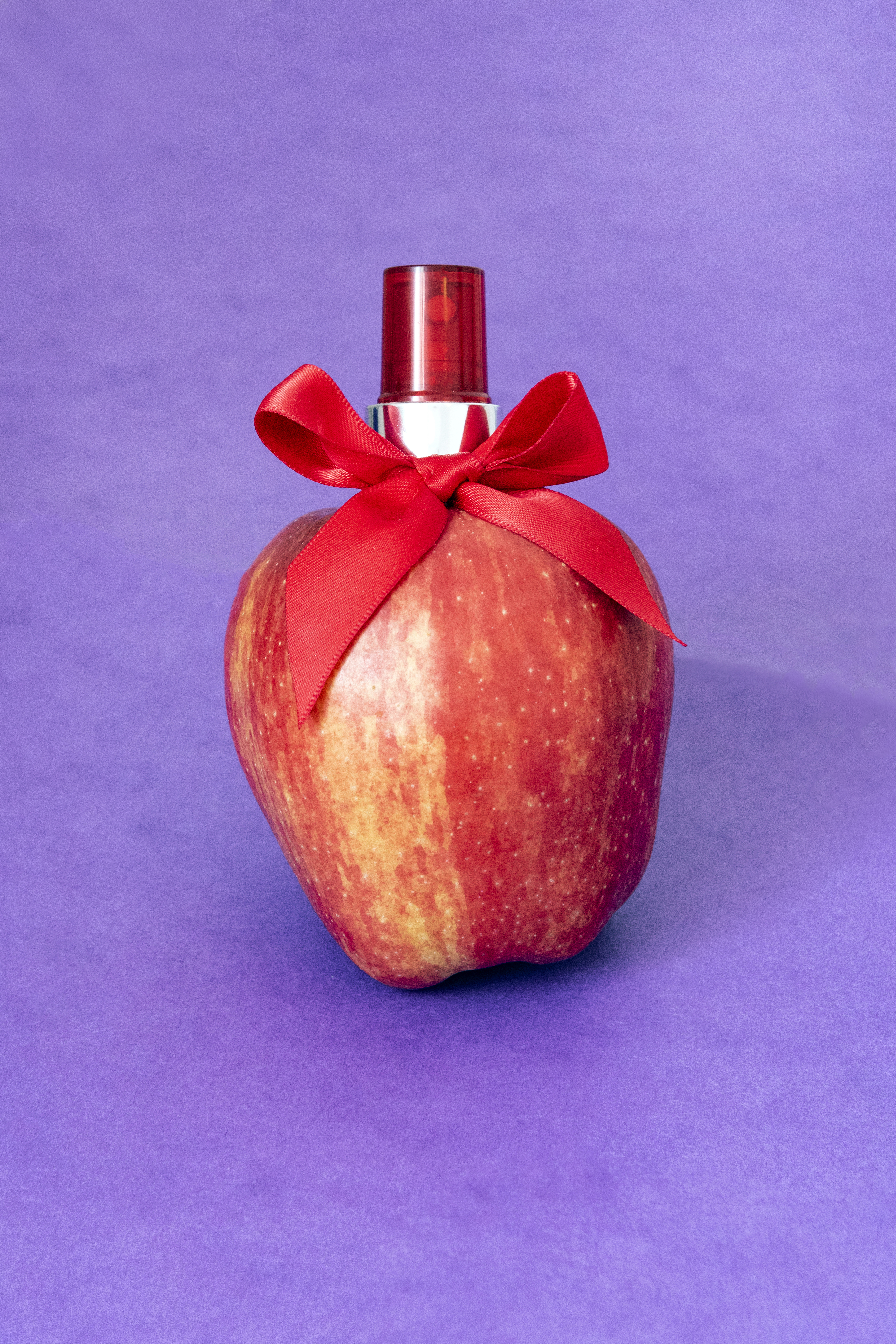 Still Life | XXVI