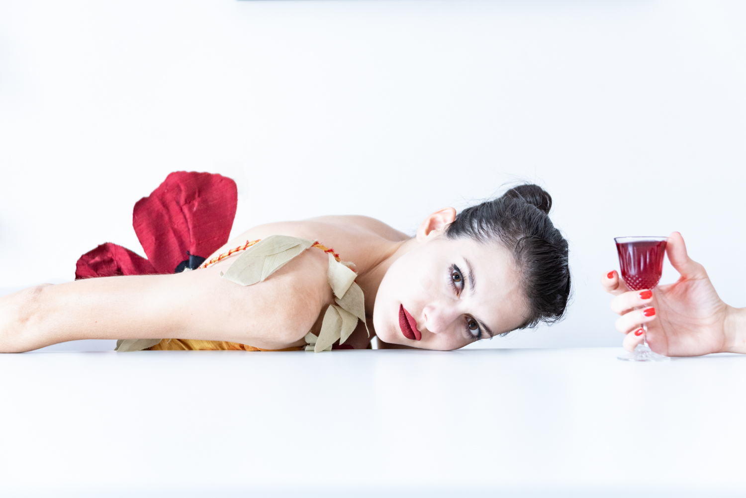 Liquere Prunia | II