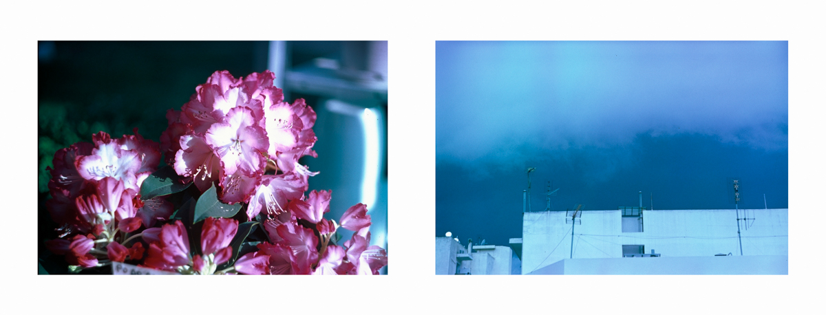 An Analog Diary 2016-2019 | XX