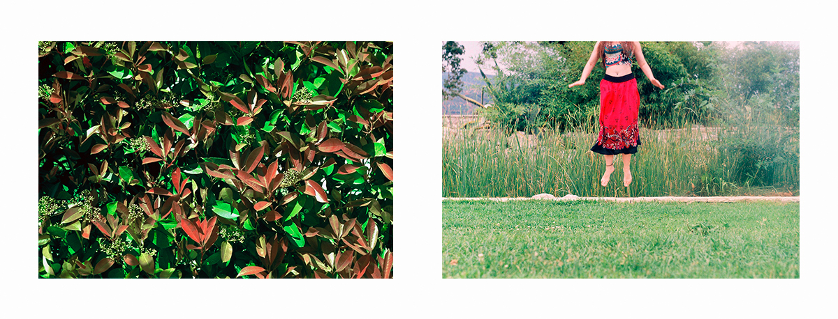 An Analog Diary 2016-2019 | XXV