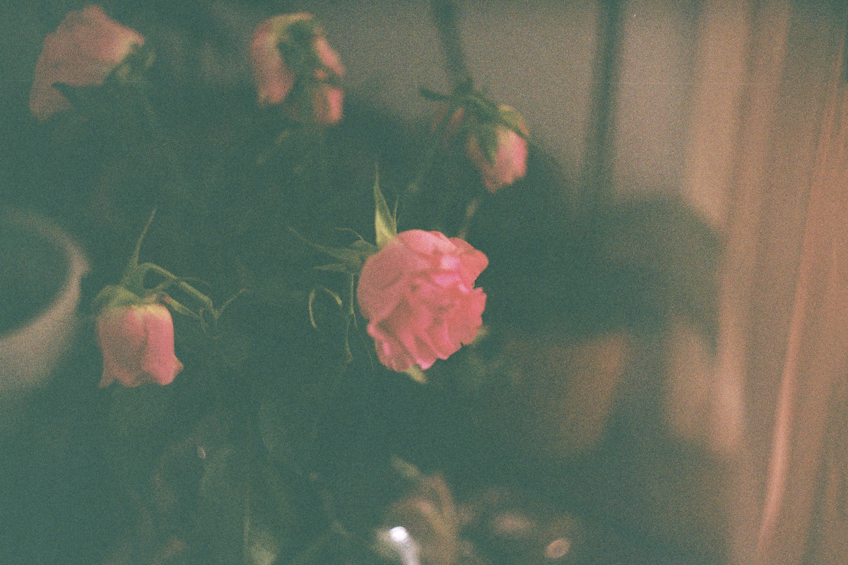 Echos | VIII
