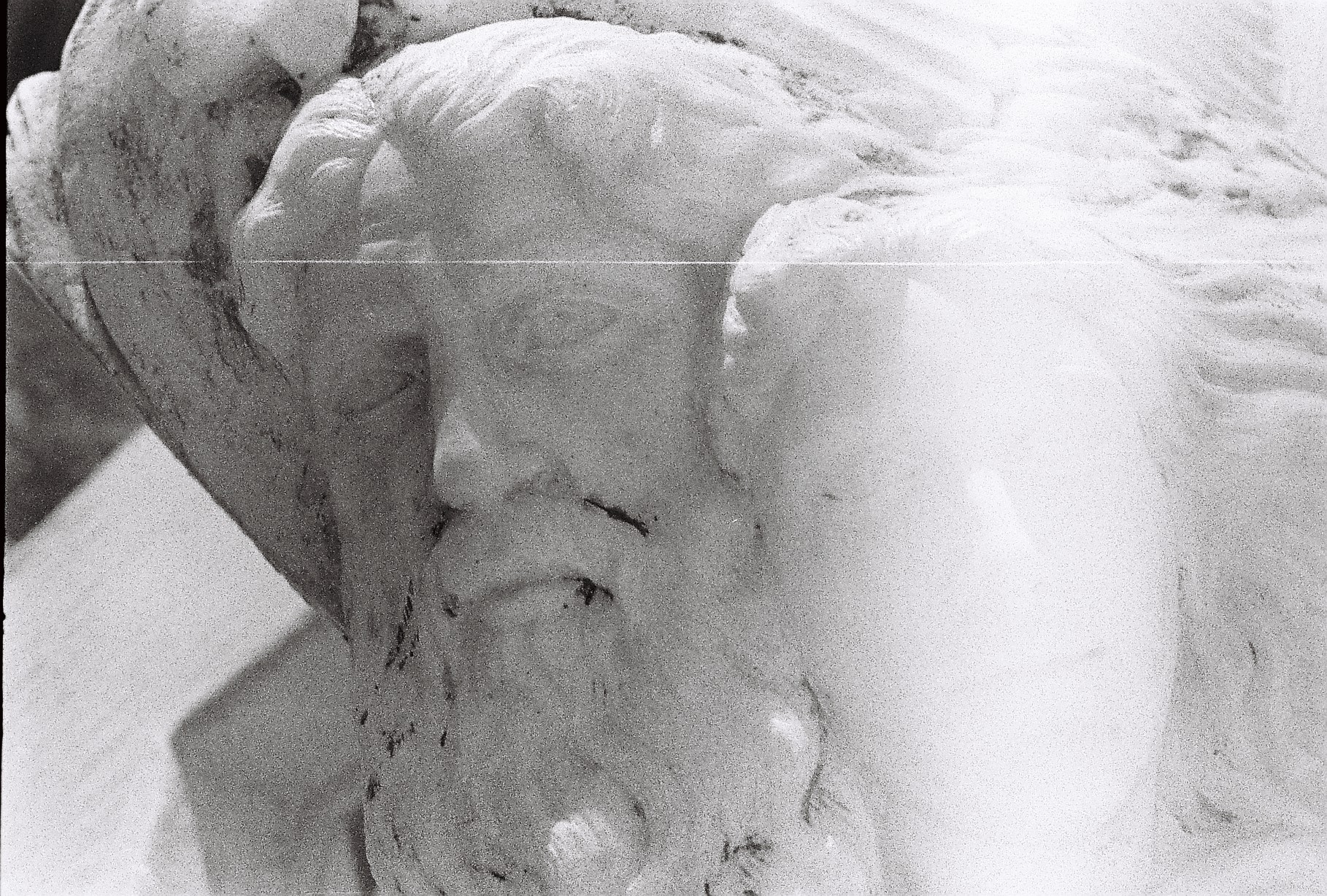 Lovers | VII