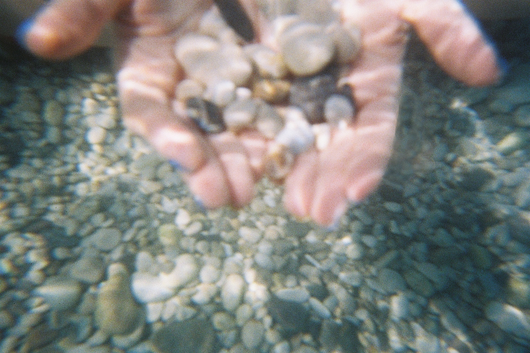 Summer | V