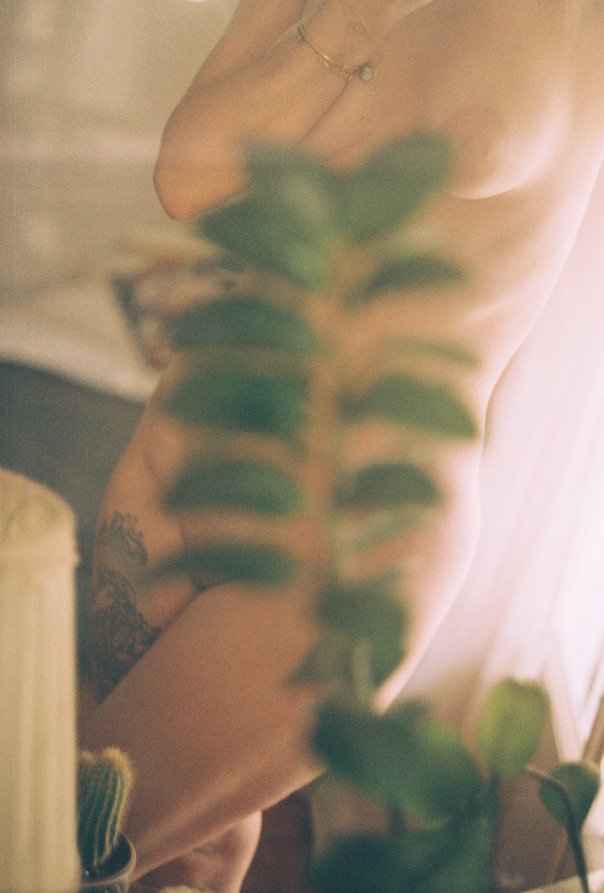 Summer | XII