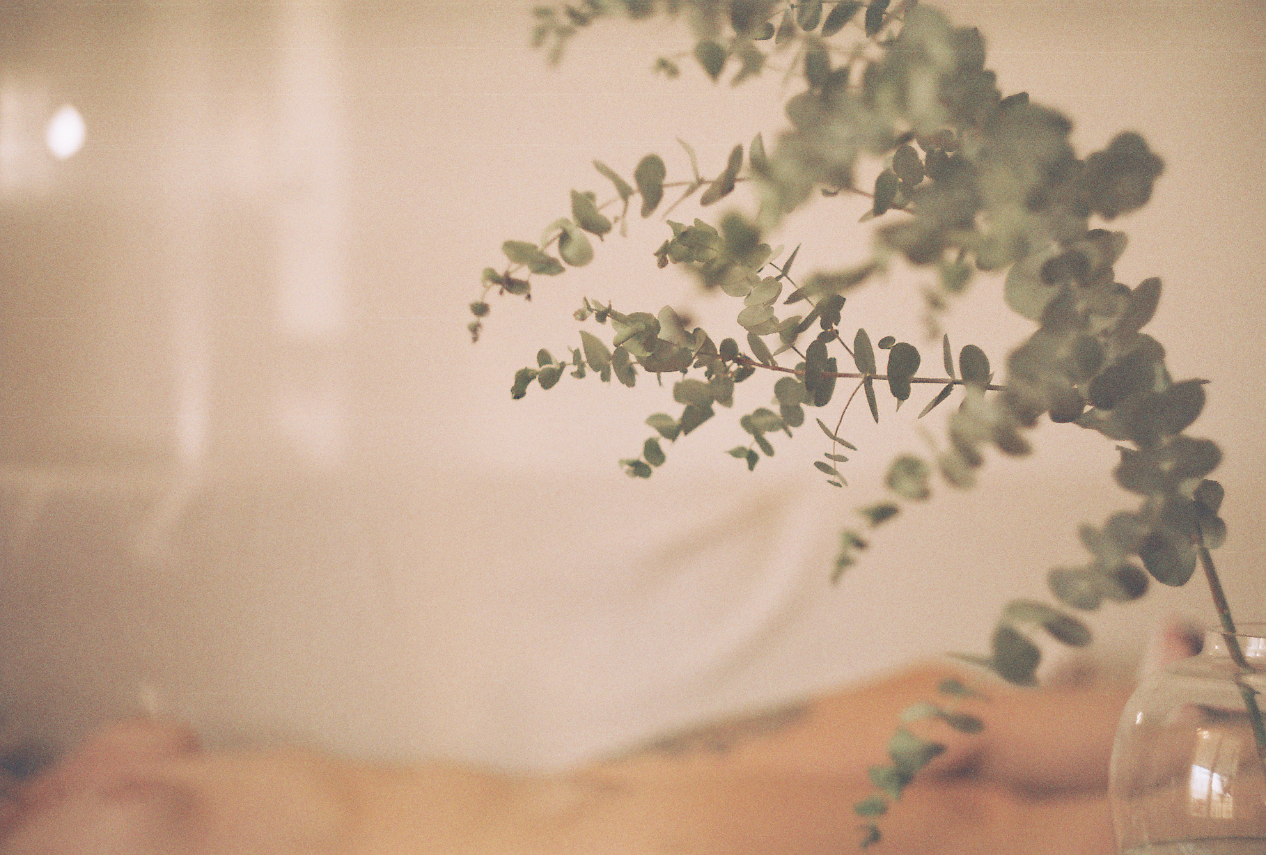 Summer | XIV
